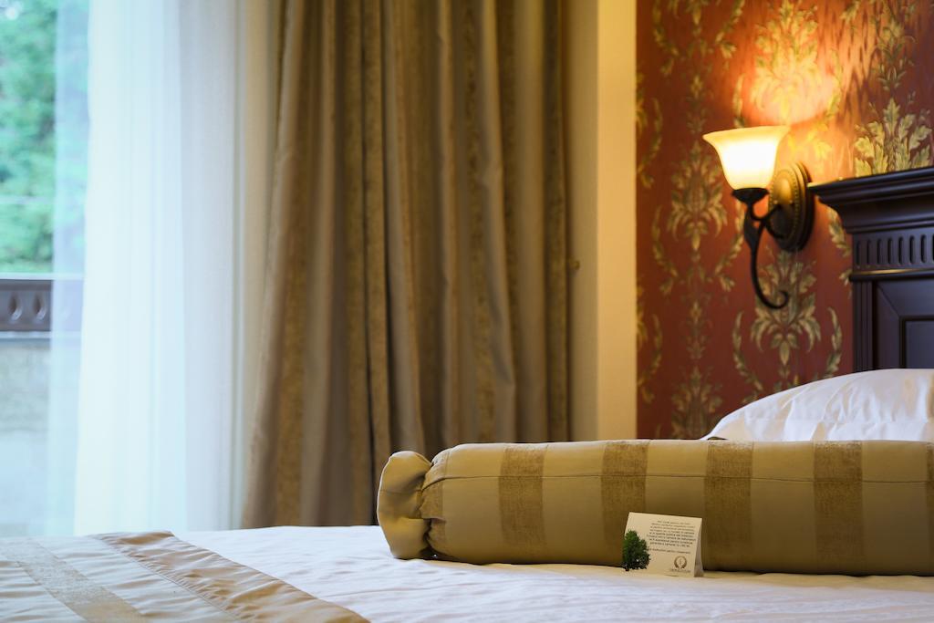 Hotel Foisorul Cu Flori Сіная Номер фото